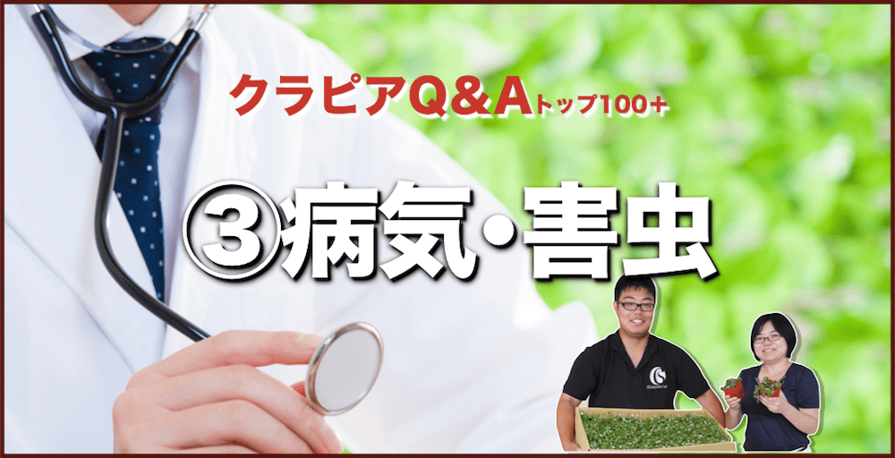 クラピアQ&A 病気・害虫