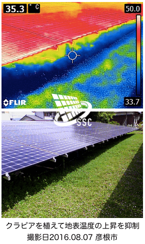 サーモグラフィーで撮影した太陽光発電所の表面温度画像