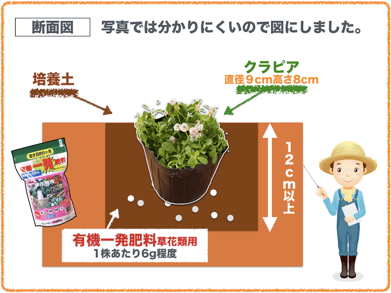 クラピアの植え方がわかる プロが教える完全ガイド お庭編