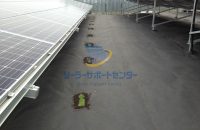 【クラピア】野立て太陽光発電雑草対策事例・愛知県あま市Y様