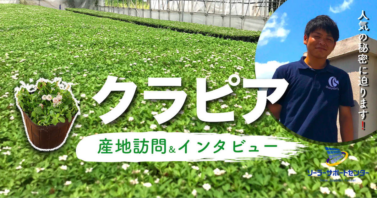 クラピア産地訪問