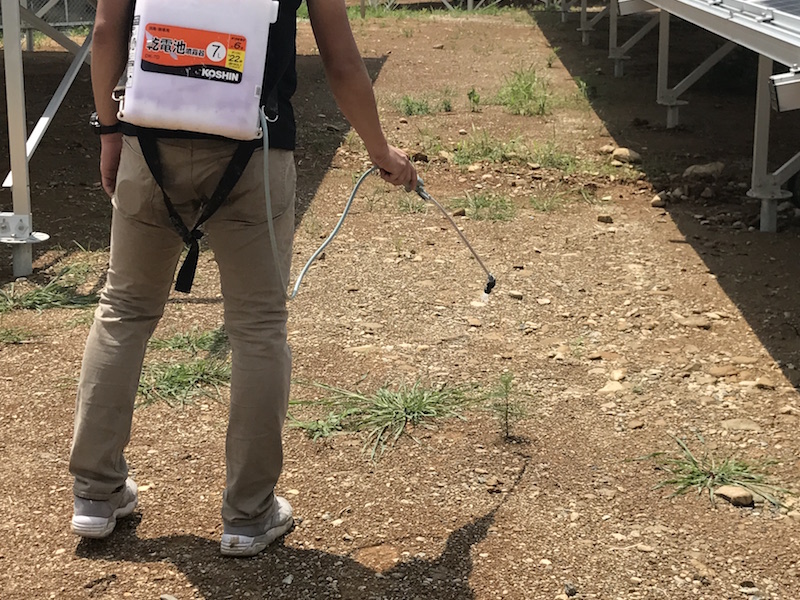 除草剤のおすすめの種類と選び方 効果的な時期と使い方で雑草を徹底管理