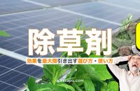 太陽光発電のよく効く除草剤選び方・使い方