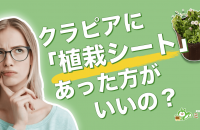 クラピアとは？お庭の雑草対策で大注目！芝生より綺麗な ...