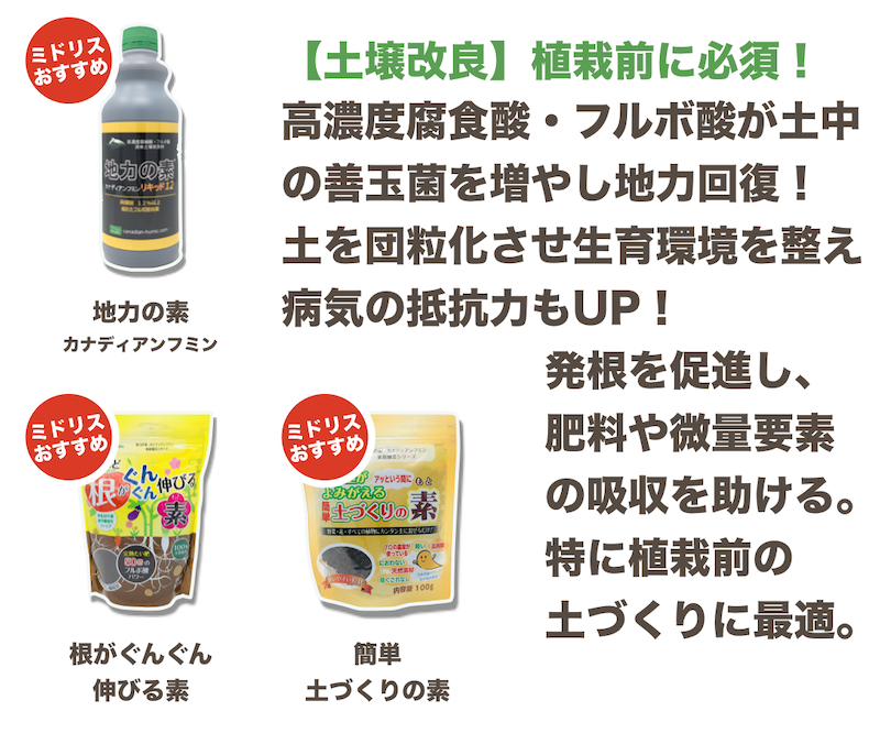 クラピアと肥料の基礎知識 絶対に必要な２つの理由とおすすめ７選